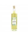 Verveine